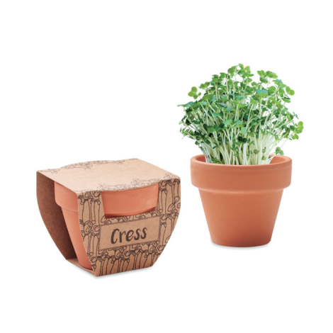 Kit du mini jardinier - 12 pots en bambou avec graines à planter - Planète  Plante