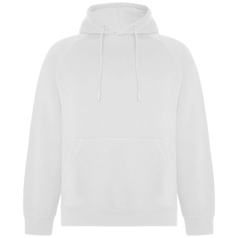 Sweat à capuche unisexe 300gr personnalisable Vinson ROLY