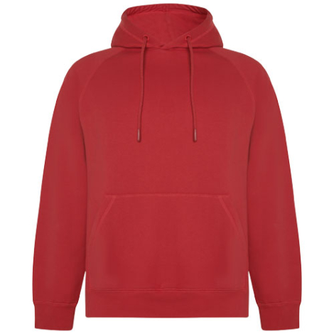 Sweat à capuche unisexe 300gr personnalisable Vinson ROLY