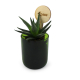 Plante personnalisable en pot verre