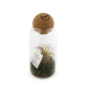 Terrarium personnalisable boule en liège