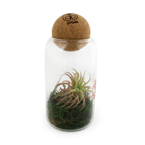 Terrarium personnalisable boule en liège