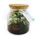 Terrarium personnalisable - Relaxant