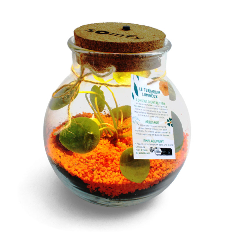 Terrarium personnalisable lumineux