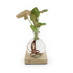 Plante avec vase et socle lumineux personnalisable